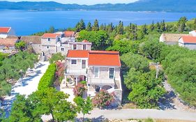 Apartman Natali